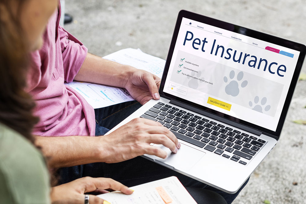 10 mistakes to avoid when buying pet insurance